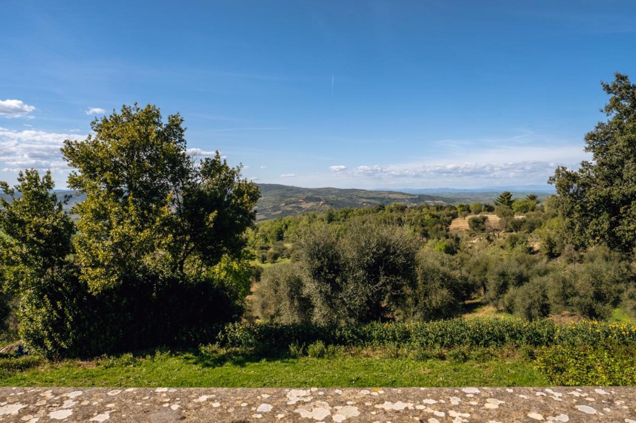 Podere Montale Il Borgo 塞吉阿诺 外观 照片