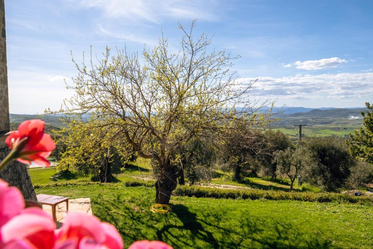 Podere Montale Il Borgo 塞吉阿诺 外观 照片